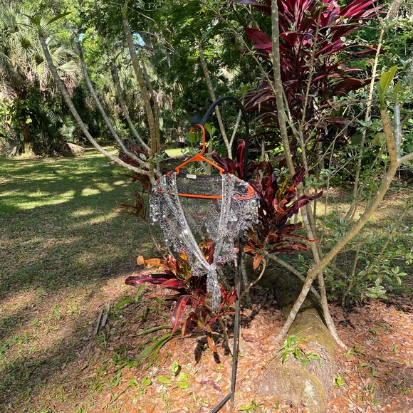 Sequence Top - Picture 2 of 2